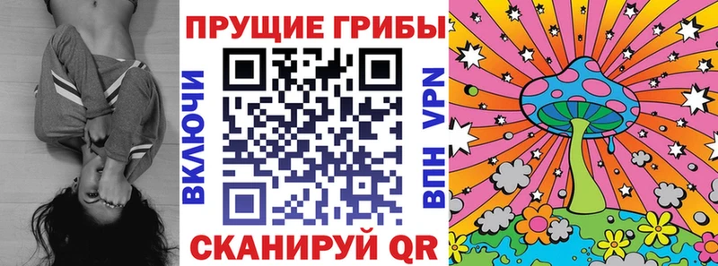 Псилоцибиновые грибы Psilocybe Белебей
